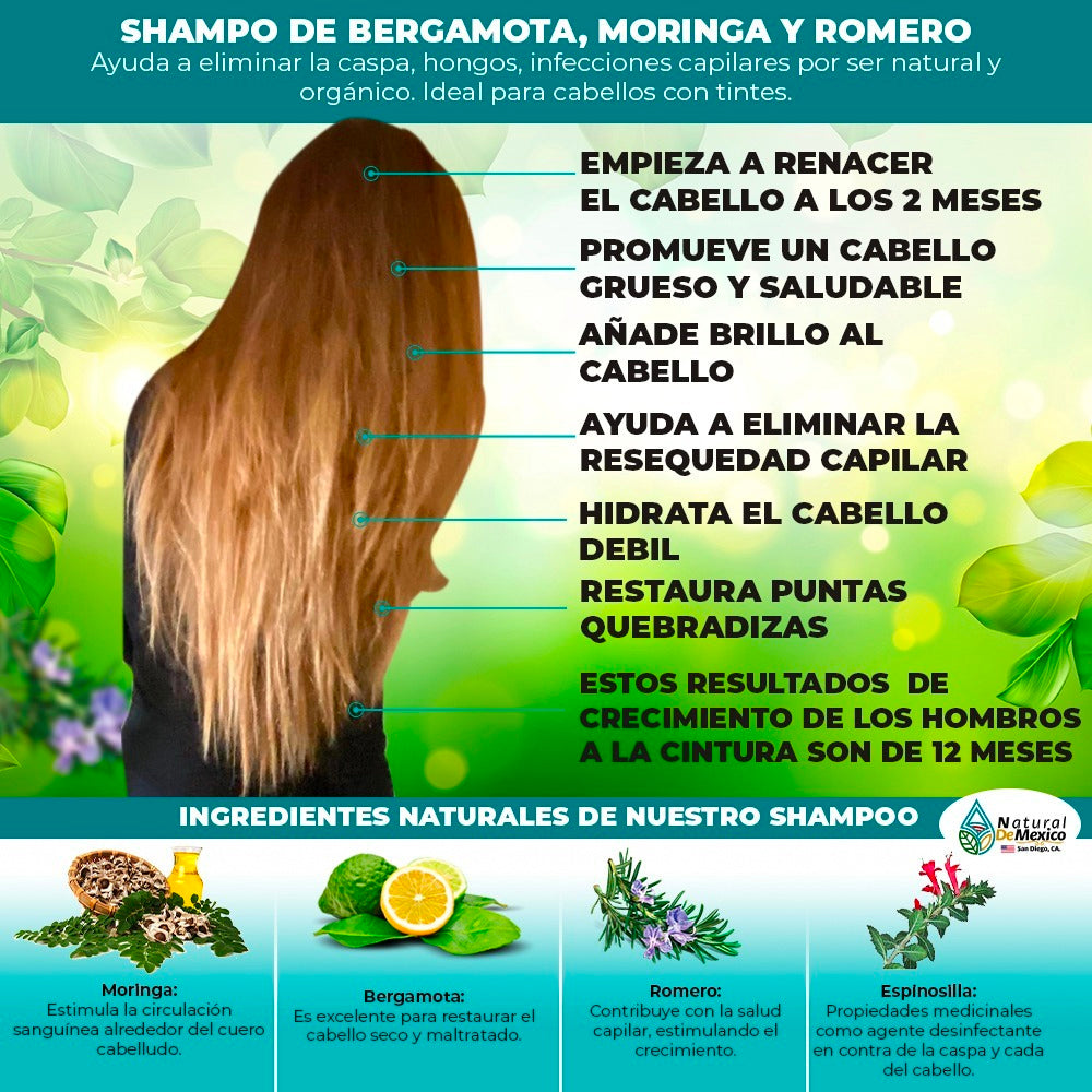 2 Shampoo de Bergamota Moringa y Romero + 1 Serum