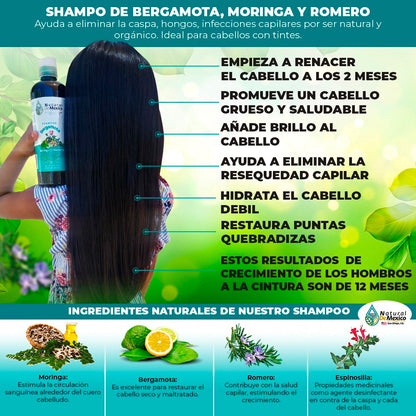 Combo Shampoo Acondicionador y Serúm Bergamota Moringa y Romero