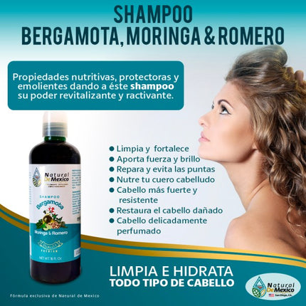 Bergamota moringa y Romero 2 Shampoo 1 Acondicionador y 1 Serum